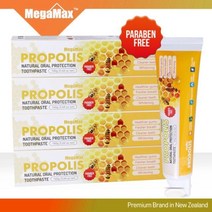 메가맥스 뉴질랜드 프로폴리스 치약 160g x 4개 _ 30690EA, 1, 본상품선택