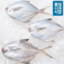 [통영수산물시장] 자연산 병어(급냉) 3~4미 / 400g내외, 단일품목