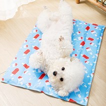 강아지 쿨방석 고양이 쿨매트 댕댕이 쿨젤 매트 쿨링패드, 오렌지 당근