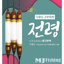 엠제이피싱 전령 / 민물찌 / 다용도찌 / 올림찌 / 고부력찌, 350mm (약6호/약5.5g)