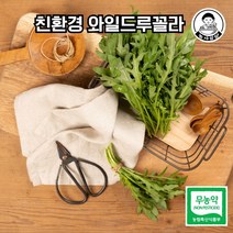 [농사임당] 친환경 무농약 와일드루꼴라 250g/500g, 250g, 1개