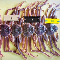 고급 국산대게, 5마리, 450-600g