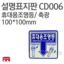 설명표지판 휴대용조명등 축광 100X100 소방표지판 휴대용조명등표지 CD006
