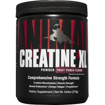 유니버셜뉴트리션 애니멀 크레아틴 XL 파우더 프루트 펀치 맛, 1개, 1.5L