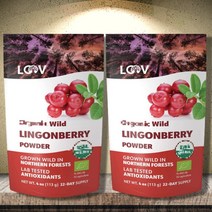 루브 LOOV 핀란드 링곤베리 분말 파우더 113g 1+1