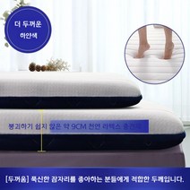 이케아 토퍼 라텍스 민박 접이식 쿠션 매트리스 효리네, 싱글 화이트 9cm