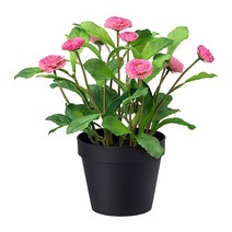 이케아 페이카 인조식물 데이지 핑크 12x25cm
