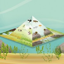 (JLS) 먹이사슬 피라미드 입체종이모형 (285x285x115mm) 과학교육용 종이접기