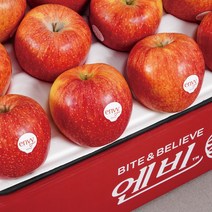 [정품인증] envy 사과 GAP인증 선물용 엔비사과 고당도 꿀 사과 2kg 5kg 10kg 앤비 사과 선물세트, 1box, 5kg (17-19과)