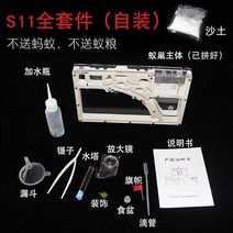 개미집 개미키우기 개미둥지 왕국집 에코박스 개미사육장 모래흙집 개미분양, A싱글캐슬-개미무식-자체