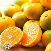 서귀포 하례마을 하우스감귤 2kg (로얄과 실중량), 단품