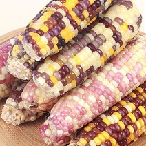 찰옥수수 알록이 미백 절단 냉동 삶은 옥수수, 10개