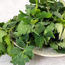 [더조은푸드] 여수 달큰 쌉싸라한 방풍나물 (옵션선택), 1박스, 2kg