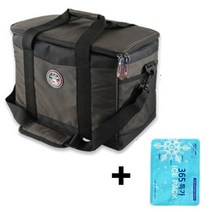 까사니 아이스 보냉백 + 아이스팩, 혼합 색상, 30L