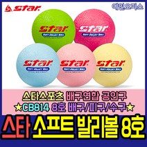 스타스포츠 스타 소프트 발리볼 8호 공인구 배구 피구 비치볼