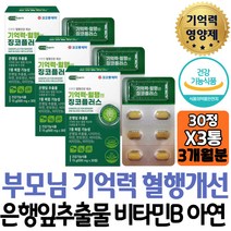 기억력 혈행개선 영양제 은행잎 GINKGO 플라보노이드 60대 뇌운동 건강기능식품 은행추출물 아연 판토텐산 직구 두뇌트레이닝 브레인 보조제 부모님 70대 은행 징코 뇌건강 고함량