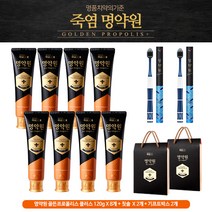 LG생활건강 명약원 골든프로폴리스 치약 120g*8+칫솔*2+쇼핑백*2, 단품
