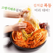 손님 대만족! 고랭지 배추로 만든 아삭아삭 배추김치, 20kg(최종결재금액52,300원)