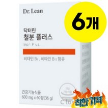 철분 비헴철 임산부 영양제 추천 60pX6