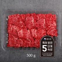 명품한우금오 1등급 한우 치마살 500g