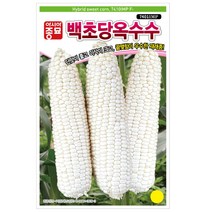 옥수수씨앗종자 백초당 옥수수(7401MP)(100립)