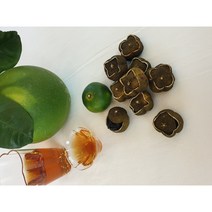 제주 청귤 귤단지차