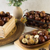 추석 순창동계햇밤옥광밤최저가, 햇일반밤특사이즈, 1kg, 1개