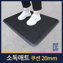 월드그린 KC인증 소독용발판 신발소독기 현관 소독매트 방역매트, 블랙