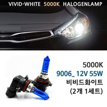 5000K 비비드화이트 현대 베라크루즈 06-15년 전조등 상향등 하향등 안개등 자동차램프, 5000K 베라크루즈 하향등 H7(2개1세트), 1세트