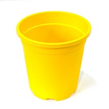 [짱짱마켓] 재배분DS180 플라스틱화분 모종 분갈이흙, 노랑