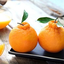 흑토농원 한라봉, 중과 42-55과, 한라봉 10kg