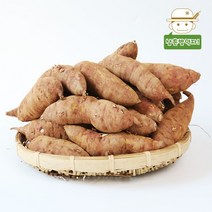 [태안직송] 안면도 황토 꿀 호박고구마 (중상)3kg/5kg/10kg, 10kg