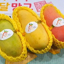 달콤하고 새콤한 마하차녹 무지개 망고 2kg 4kg