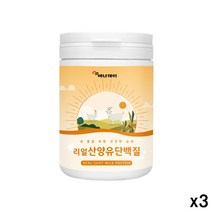 에너데이 산양유단백질 네덜란드산 분말 WPI 분리유청단백 BCAA 밀크칼슘 미셀라카제인, 3통