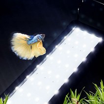 미미네아쿠아 올화이트 LED 어항조명 1자반등 40-50