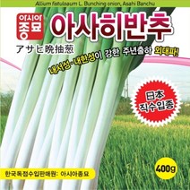 아사히반추 대파 씨앗 80g 내한성 종자 주년 출하 외대파 사계절 병해충 파 쌈 채소 베란다 텃밭 농사