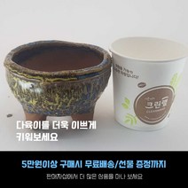 다육 다육화분- 작은 원형 화분 예쁜화분