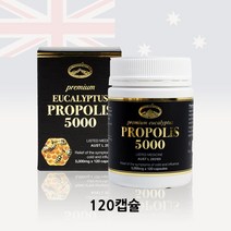 네이쳐스탑 프리미엄유칼립투스 프로폴리스 5000mg 120정, 1개
