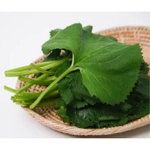 국내산 생 곰취나물 400g 1kg 23년 당일수확 산지직송 햇 봄나물 곰취 곰취쌈 곤달비 봄 나물 당일수확 자연산곰취 곰취쌈 곰치나물