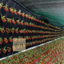 부직포화분 블루베리 숨쉬는 가벼운 텃밭용 72포켓 행잉 벽화분 화분(100x100cm)