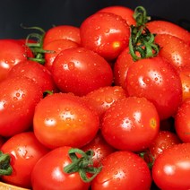 전남 국내산 대추방울토마토 2-5kg (2~4번과), 01_대추방울토마토 2kg4번(소과)