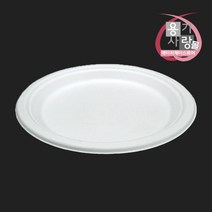 원형 천연 펄프 접시 친환경 종이 트레이 26cm 500개