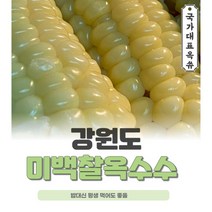강원도 미백 찰 냉동옥수수 10개, 미백찰 냉동옥수수 12개
