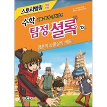 수학 탐정 셜록 13: 영혼의 눈물상의 비밀!:확률 통계 규칙성 편, 천재코믹스