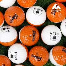 랩몬스터 캐릭터 골프공 가이드라인 퍼팅 비거리향상 고반발 골프볼 20구 2피스, 투톤