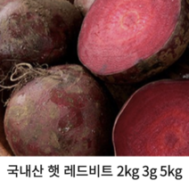 국내산 고당도 햇 레드비트 2kg 3kg 5kg 새콤 달콤 비트 피클 비트즙 비트차 주스용비트 샐러드 생비트