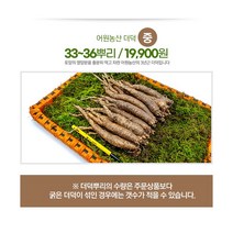 [어원농산] 강원도 횡성 직접농사지은 더덕 (1kg) 22년 가을수확, 1개, 중품(33-36뿌리)