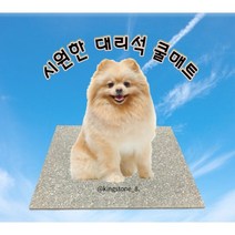 킹스톤 반려동물 대리석 쿨매트 인조대리석 방석, 베이지계열