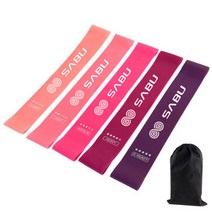 SABU 루프밴드 운동 저항 고무 탄력 밴드 5종세트, 루프밴드세트