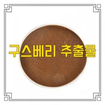 소율국제 구스베리 양까치밥 나무 열매 고농축 추출물 분말, 20:1, 200g, 1개